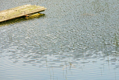 Close-up of water