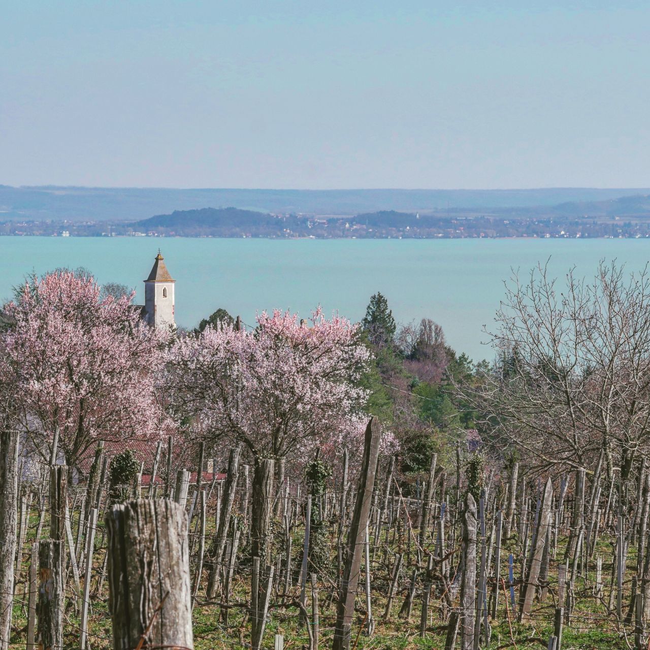 Folly Arborétum