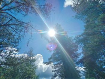 Low angle view of trees against sky