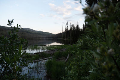 Scenic view of lake against sky