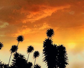 Low angle view of silhouette palm trees against sky during sunset