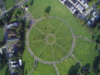 High angle view of tree in city