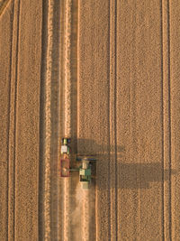 Old working in agricultural field