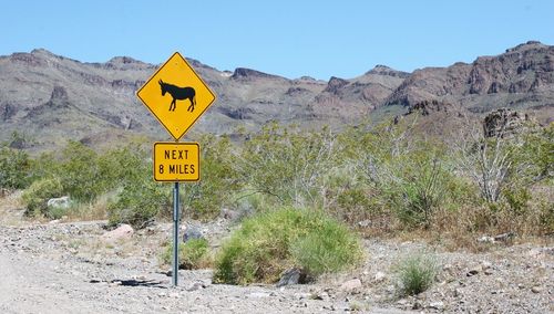 Beware of the donkeys next 8 miles