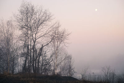 Bare tree on landscape against sky during sunset