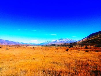 Scenic view of field against blue sky