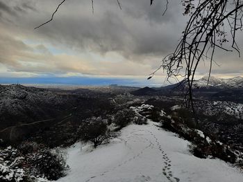 Snow covered land and trees against sky during winter