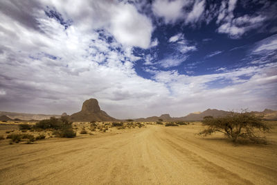 Scenic view of field against sky during sunset