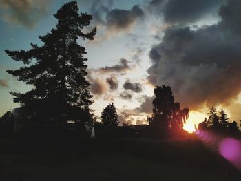 Low angle view of silhouette trees against sky during sunset