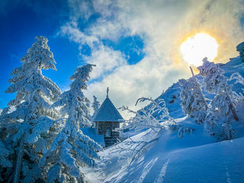 snow