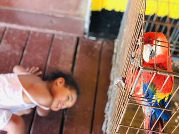 High angle view of girl lying on floor and looking at parrot