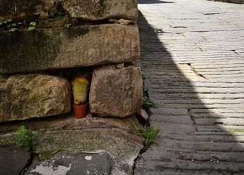 High angle view of stone wall