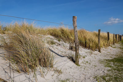 Fence by grass at beach against blue sky