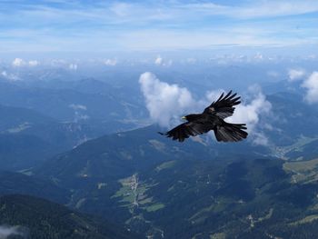 Bird flying over mountains against sky