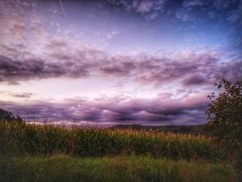 Scenic view of field against sky at sunset