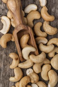 Close-up of mushrooms