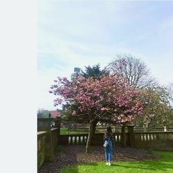 Woman standing by tree against sky