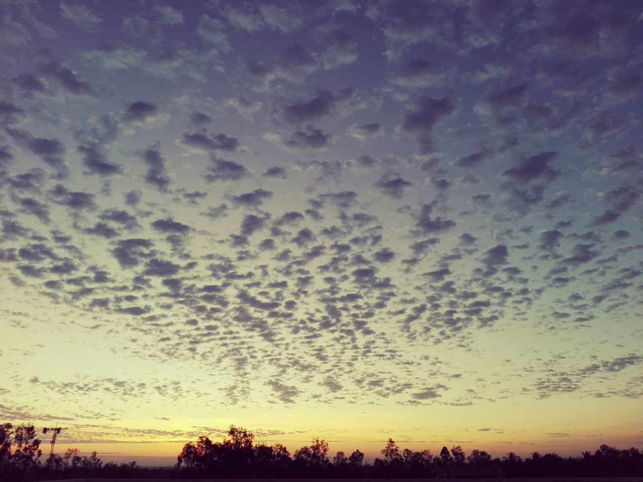 sky, sunset, nature, dramatic sky, beauty in nature, cloud - sky, no people, silhouette, dusk, scenics, tranquil scene, low angle view, outdoors, tranquility, tree, large group of animals, day