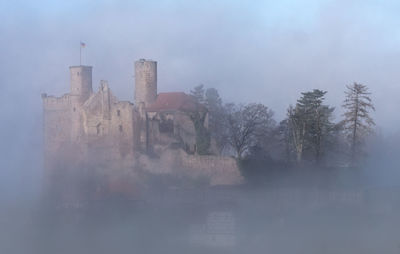 View of bare trees in foggy weather