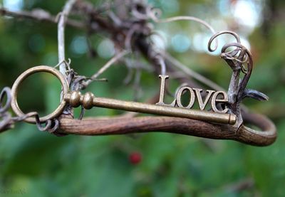 Close-up of plant against blurred background