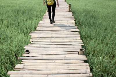 Low section of man walking on field