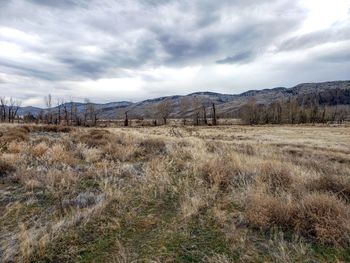 Scenic view of field against sky