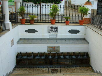 High angle view of potted plants on balcony of building