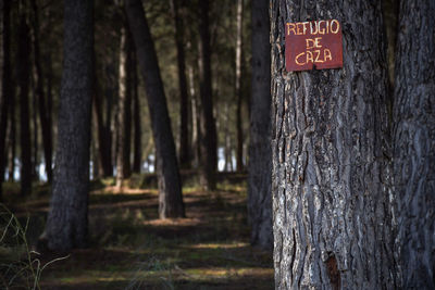 Information sign on tree trunk in forest