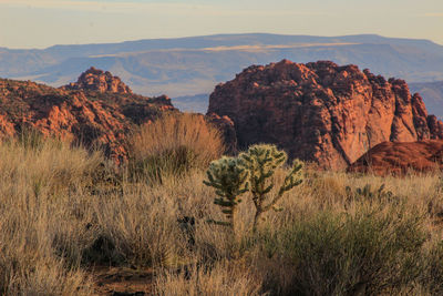 View of landscape with mountain in background