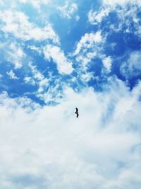 Low angle view of bird flying in sky