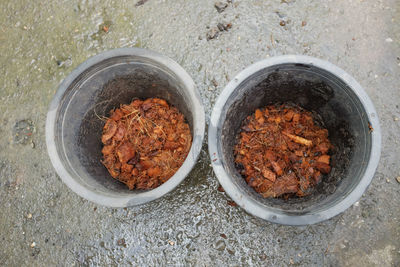 Coconut husk chips in plant pots.preparing to plant trees