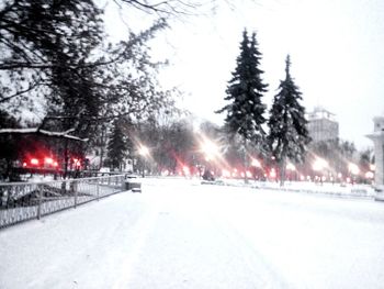 Road amidst trees against sky during winter