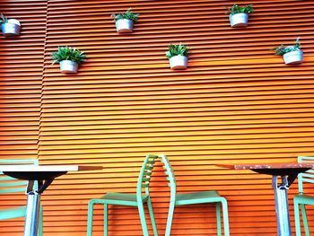 The orange and green cafe