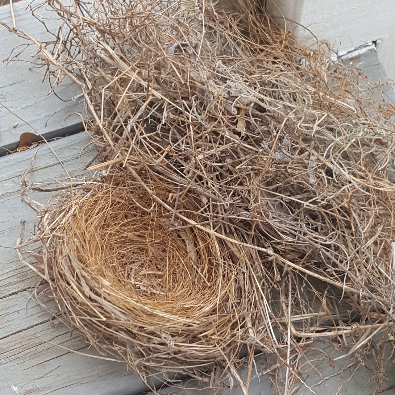 HIGH ANGLE VIEW OF STALKS IN HAY