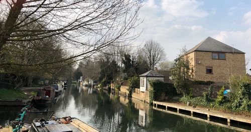 Canal amidst houses and trees against sky