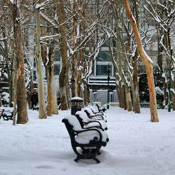 winter
