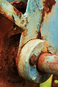 Extreme close up of tree trunk