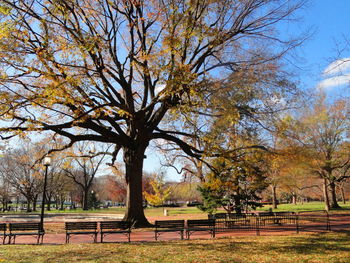 Empty bench in park