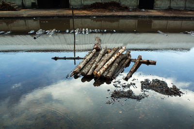 High angle view of old abandoned wood in lake