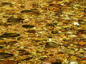 Full frame shot of rocks in water