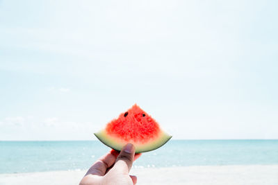 Cropped image of hand holding apple against sea