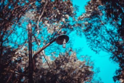 Low angle view of street light against trees