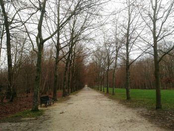 Walkway amidst bare trees in forest against sky