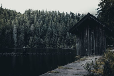 Scenic view of lake in forest against sky