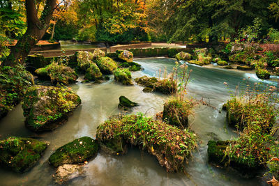 Munich english garden englischer garten park in autumn. munchen, bavaria, germany