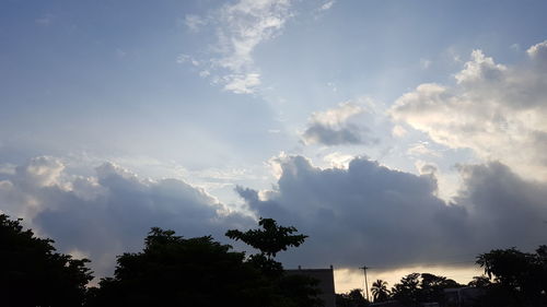 Low angle view of silhouette trees against sky