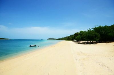 Scenic view of beach against clear blue sky