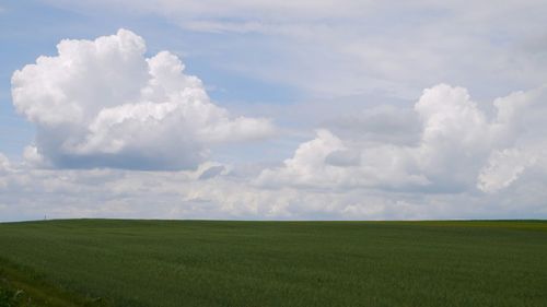 Scenic view of agricultural field against cloudy sky