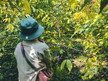 Midsection of person wearing hat standing by tree