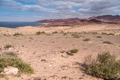 Scenic view of desert against sky